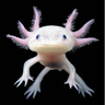 Goofyaxolotles