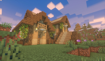 A sceenshot taken on an Private SMP