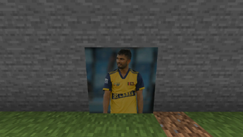 Cricket Player's Painting