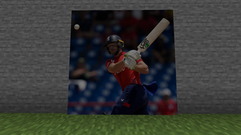 Cricket Player's Painting