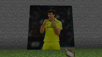 Cricket Player's Painting