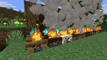Beautiful Campfires