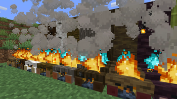 Beautiful Campfires
