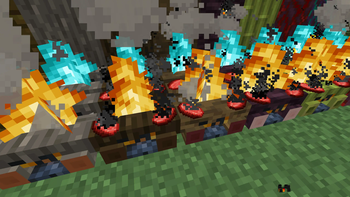 Beautiful Campfires
