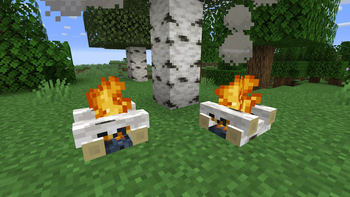 Beautiful Campfires