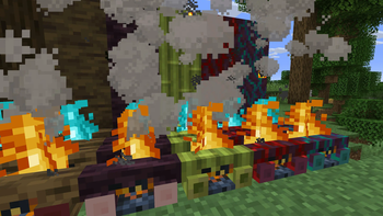 Beautiful Campfires