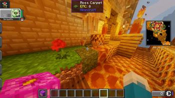 Combee in Bumblezone