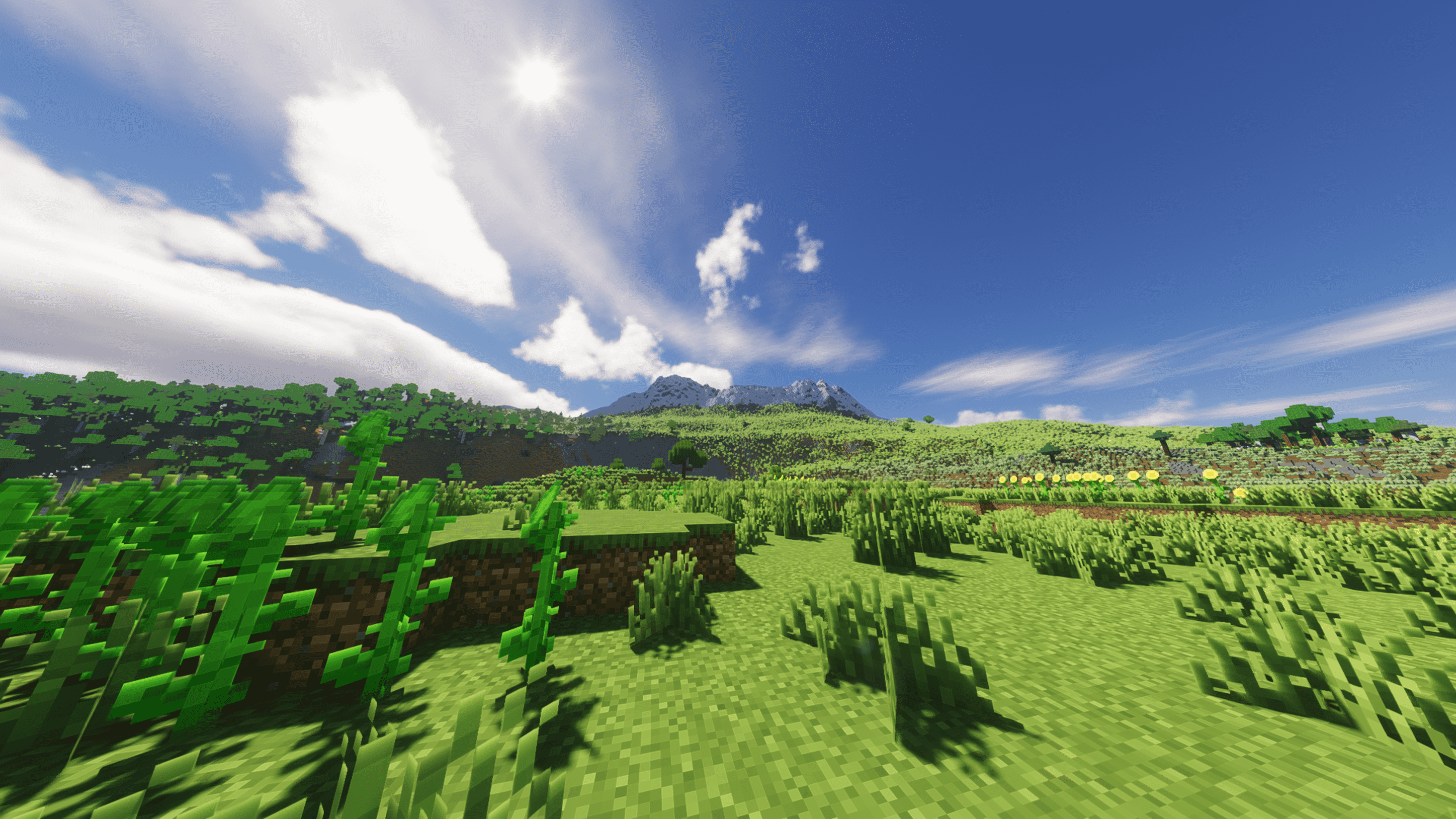 Plains Biome