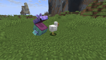 Pitcher Critter eatin a chicken