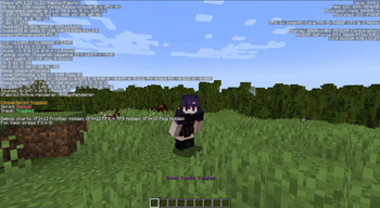 Debug Information