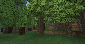 Chestnut Forest