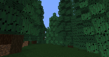 Hemlock Forest