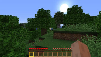 Forest