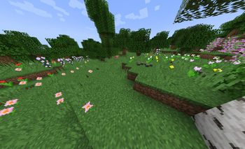 Buttercups and Pink Daisies in a Flower Forest