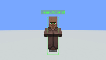 Colored Hitbox & Nametag
