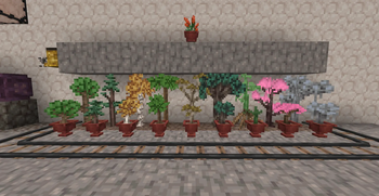 Large saplings