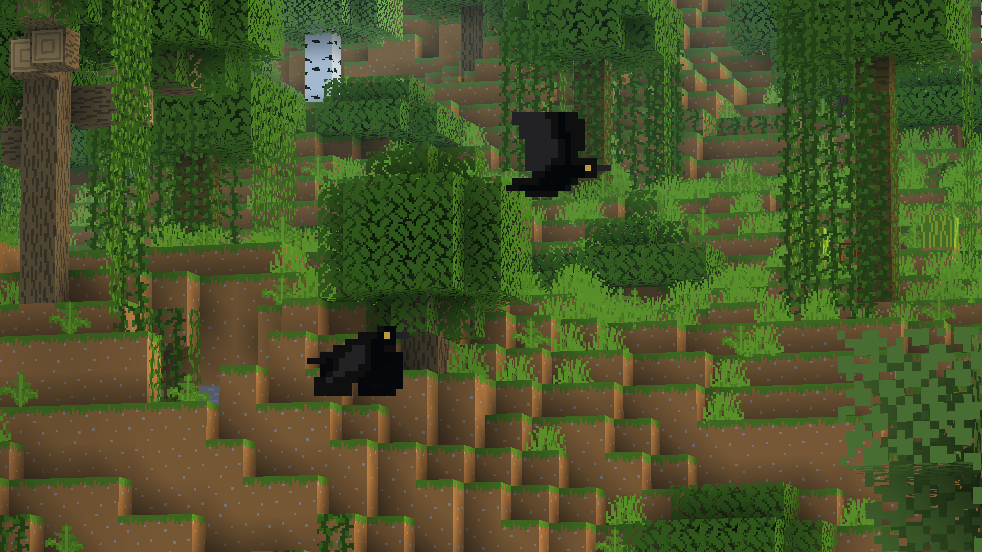 two crows flying in front of a jungle hill