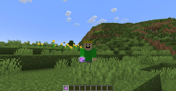 End Crystal in right hand (3rd Person)