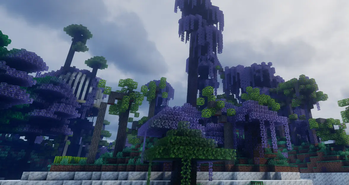 Forest With Structure