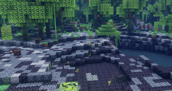 Tropical Jungle with Animals