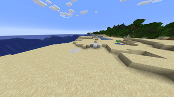 Sand Patches
