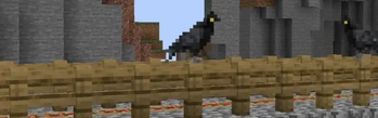 Crows reacting to a minecart