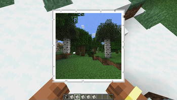 NES Photo