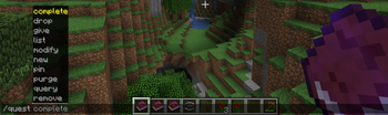 Quest cmmands