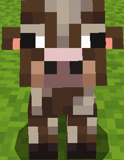 Baby Cow