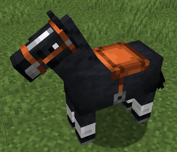Consistent Saddle Color