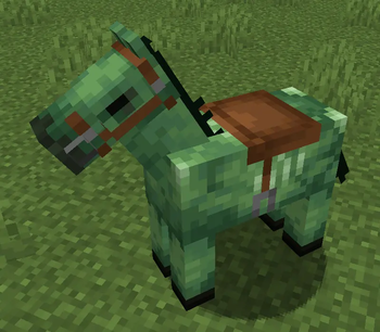 Consistent Saddle Color