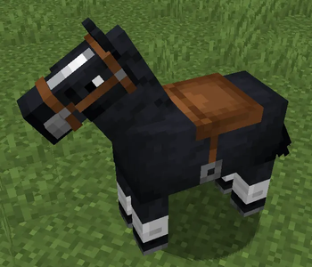 Consistent Saddle Color