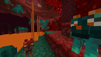 The Nether Duo