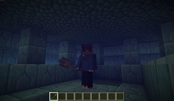 Third person view 2