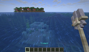 First person view