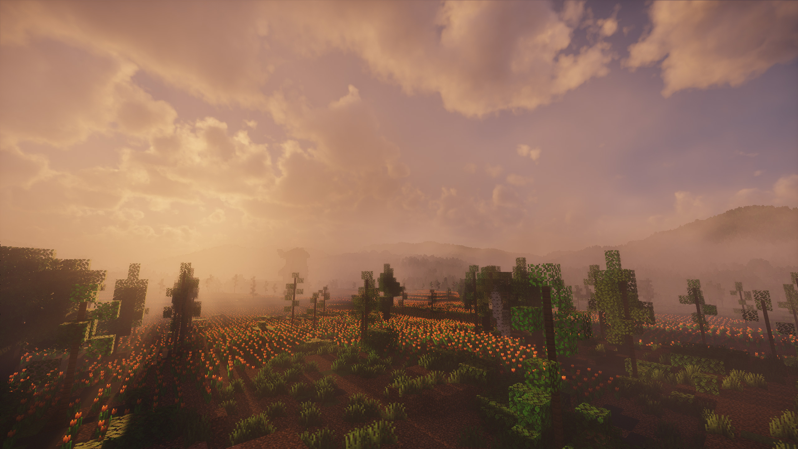 Spring Shaders (Chun) - 2