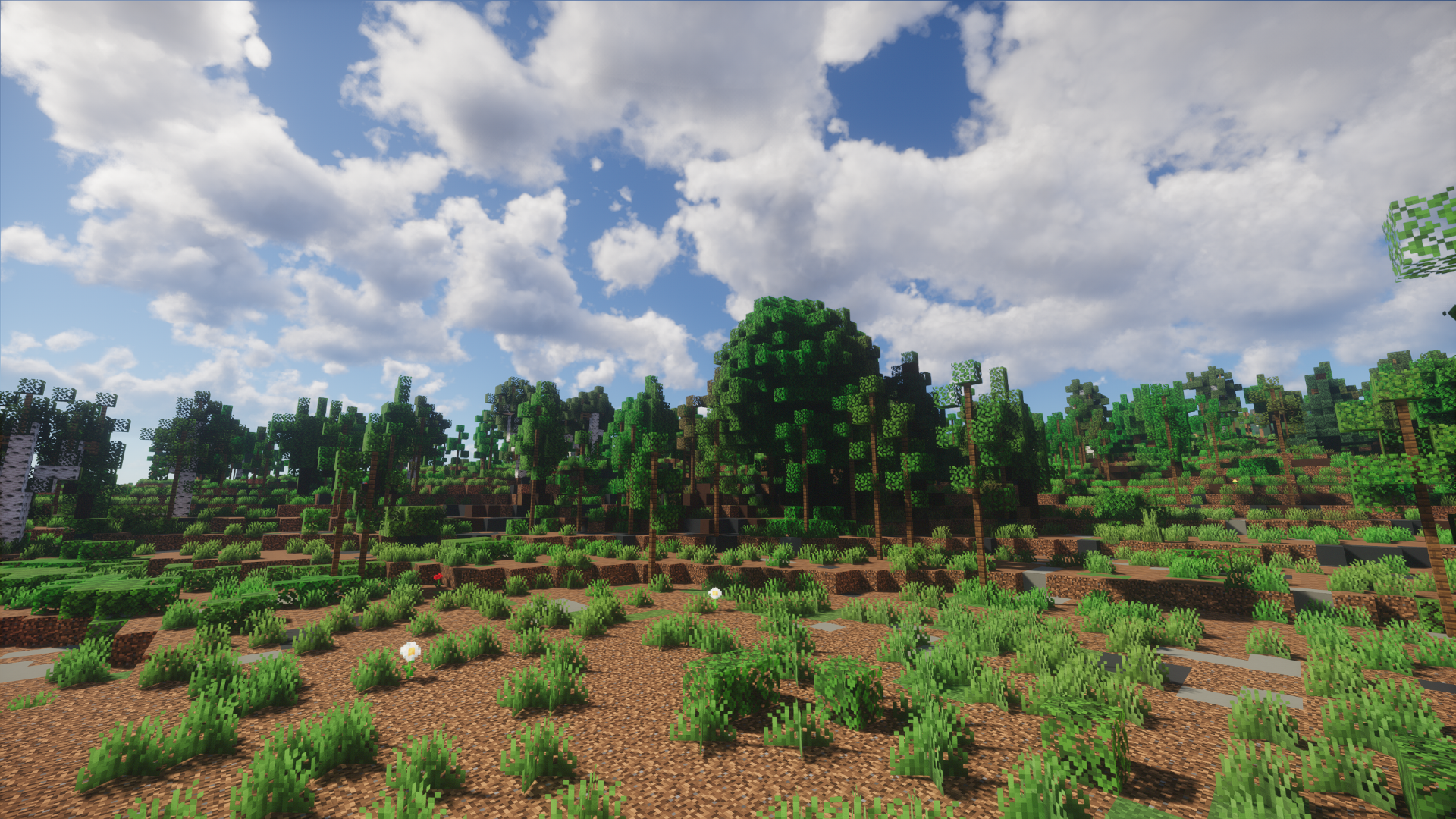 Spring Shaders (Chun) - 12