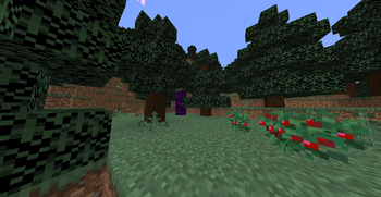 Naturally generated totem