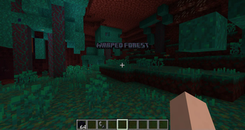 Warped Forest