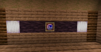 Ingame appearance in item frame