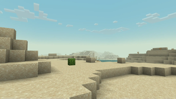desert