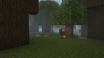 dark forest