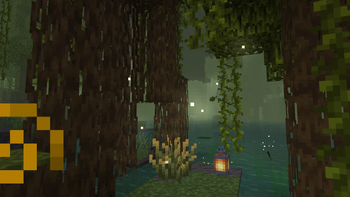 mangrove swamp