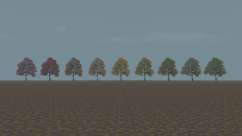 autumn (savanna)