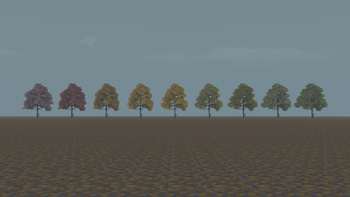 autumn (forest)