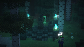 Wither Skulls
