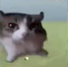 minuto4ka