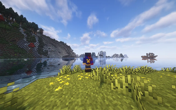 Coastline
