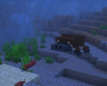 Platypus Underwater