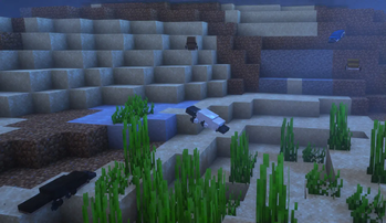 Platypus Variants